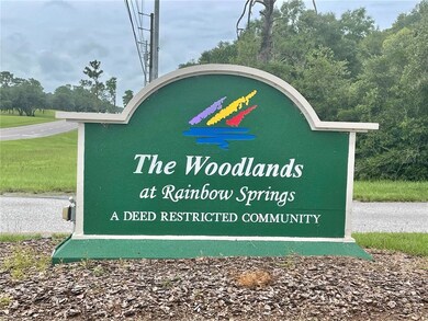 8900 SW 209th Cir, Dunnellon, FL 34431 - photo 2