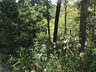 Lot 24 Rotham Ln, Bella Vista, AR 72715 - photo 3