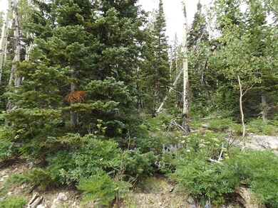 103 S Spring Cir unit Lot 18, blk F, Unit, Brian Head, UT 84719 - photo 3