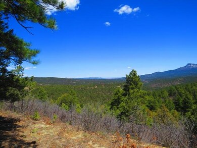 0 Fox Trail unit 20-978, Trinidad, CO 81082 - photo 5