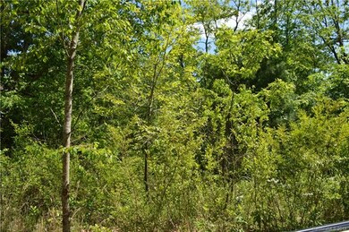 999 Retta Ln, Leicester, NC 28748 - photo 5