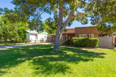 Giant tree shades home