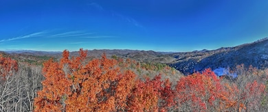 324 Little Bear Rd, Bryson City, NC 28713 - photo 5