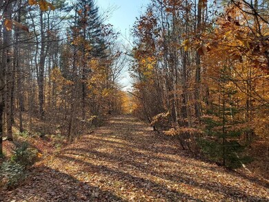 00 Keyser Rd, Center Harbor, NH 03226 - photo 4