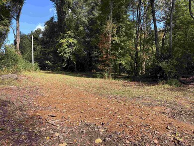 0 Bethuel Rd unit 17, Unincorporated, TN 38053 - photo 7