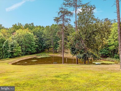 2321 Cedar Grove Rd, Winchester, VA 22603 - photo 6