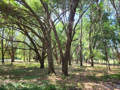 2514 Eisenhower St, Inverness, FL 34453 - photo 7