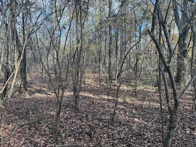 00 County Road 4026, Kosciusko, MS 39090 - photo 4