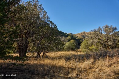 TBD Paradise Rd unit 10, Portal, AZ 85632 - photo 2