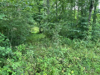 0 Stout Rd, Logan, OH 43138 - photo 2