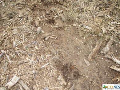 000 County Road 4818, Kempner, TX 76539 - photo 5