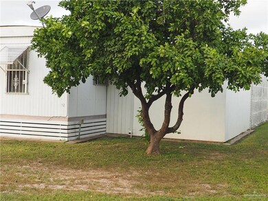South East side (citrus tree)