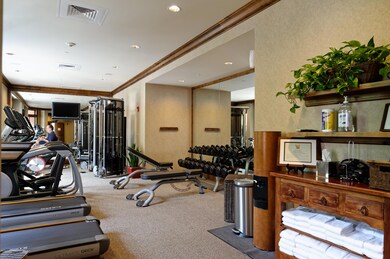 Grand Hyatt Aspen Gym