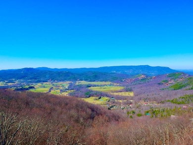 1-A,2-A,3- Ravens Den Way, Sevierville, TN 37862 - photo 3