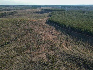 0 Rd, Lumpkin, GA 31815 - photo 6