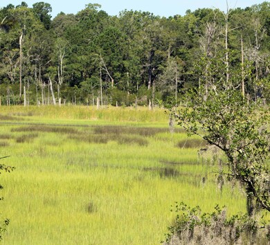 Lot 26 marsh 1