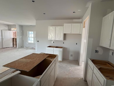 Kitchen with white cabinetry