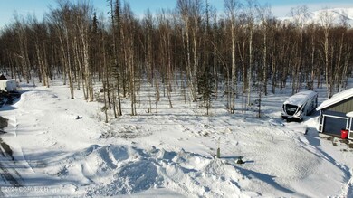 dji_fly_20240227_131240_121_170907212151