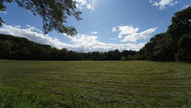 1594 Pleasantview Rd, Richland Township, IL 61570 - photo 4