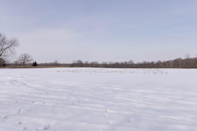1B