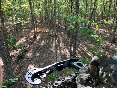 0 N Carolina 96 unit 2369107, Oxford, NC 27565 - photo 3