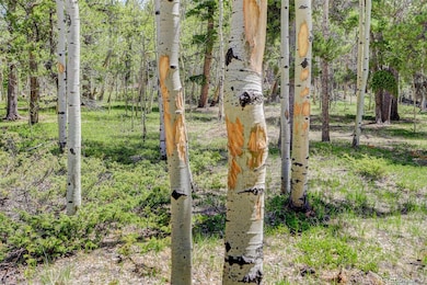 300 Badger Rd, Black Hawk, CO 80422 - photo 4