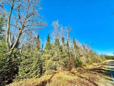 Parcel 7 Sportsmens Club Rd, Iron Mountain, MI 49801 - photo 4