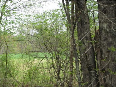 lush spring fields