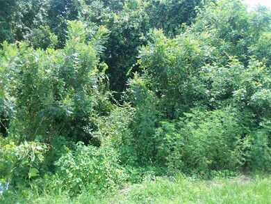 0 Bruns St unit S5074093, Saint Cloud, FL 34771 - photo 2