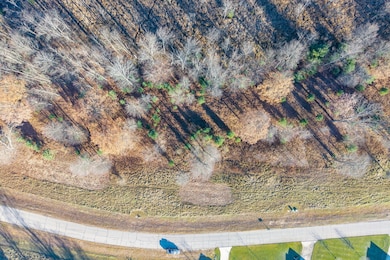 11482 Killarney Dr, Canadian Lakes, MI 49346 - photo 3