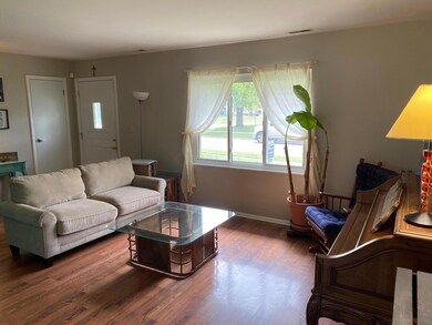 IMG_0519