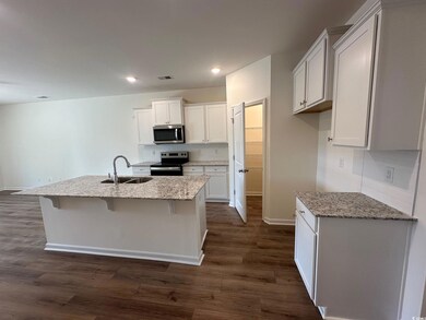Kitchen with a kitchen island with sink, sink, dar