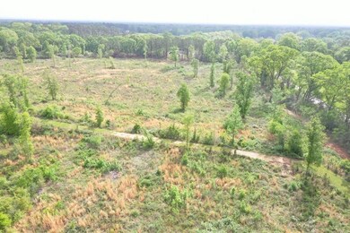 0 Hwy 438 Hwy unit LotWP001 23134119, Angie, LA 70426 - photo 7