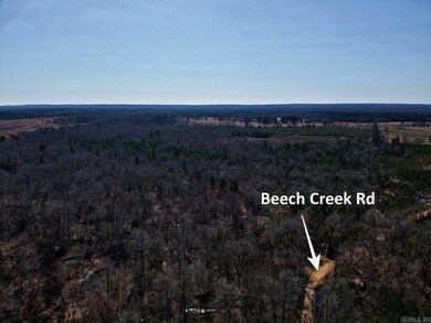 0 Beech Creek Rd, Gurdon, AR 71743 - photo 4