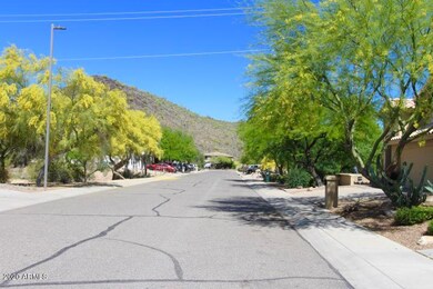 [Van Dyke Group Az]