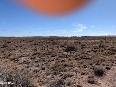 PXL_20211022_164928489