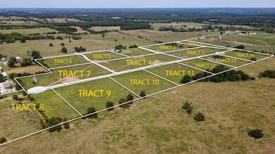 Tract #6 Highway Ee, Jackson Township, MO 65644 - photo 7
