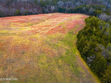 Lot 2 Lonesome Pine Rd, Bybee, TN 37713 - photo 6