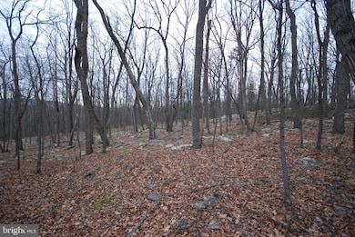 Lot 88 Wakeman Dr, Augusta, WV 26704 - photo 2