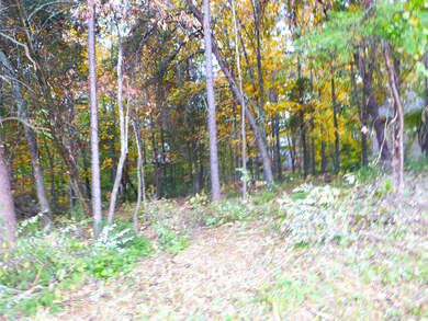 202 Okema Trace 2