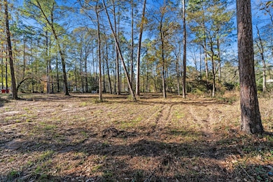 43 Pine Oak Ln, Huntsville, TX 77340 - photo 2