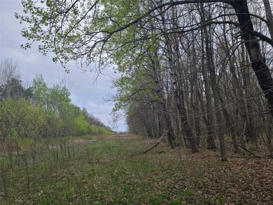 0 16th Ave unit 1553004, Sumner Township, WI 54868 - photo 2