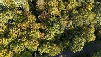 1739 Weed Rd, Torrington, CT 06790 - photo 4