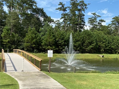 Bridge to the Nature Preserve