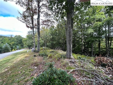 405 Firethorn Trail, Blowing Rock, NC 28605 - photo 4