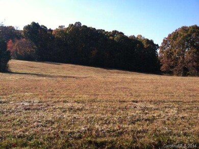 000 Watering Trough Rd, Statesville, NC 28677 - photo 4