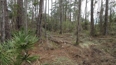 964 E Pine Ave, St. George Island, FL 32328 - photo 3