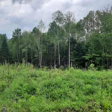 Lot 16 Oakes Rd, Columbia, NH 03576 - photo 4