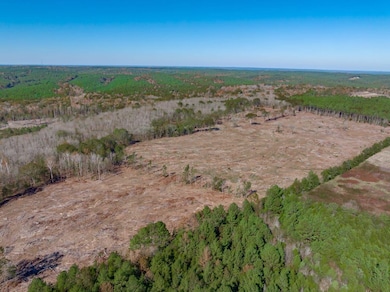 0 Flint Hill Rd unit 23523957, Ridgeway, SC 29130 - photo 3