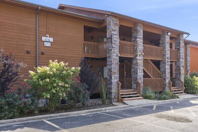 189 Avondale Dr unit 3, Branson, MO 65616 - photo 2